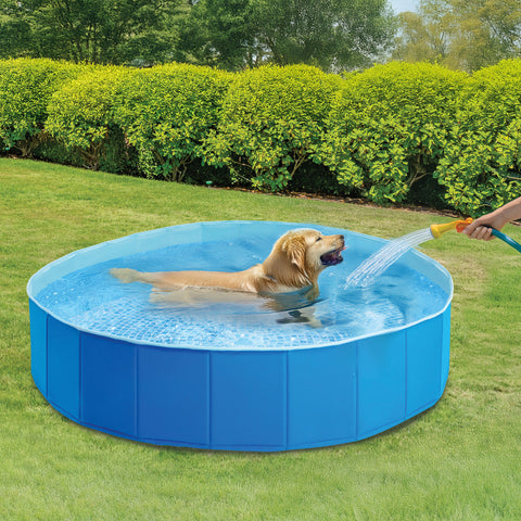 Intex Portable Foldable Pet Swimming Pool 152x30cm