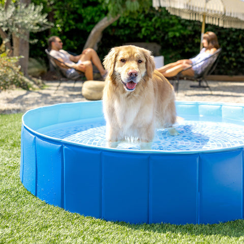 Intex Portable Foldable Pet Swimming Pool 152x30cm