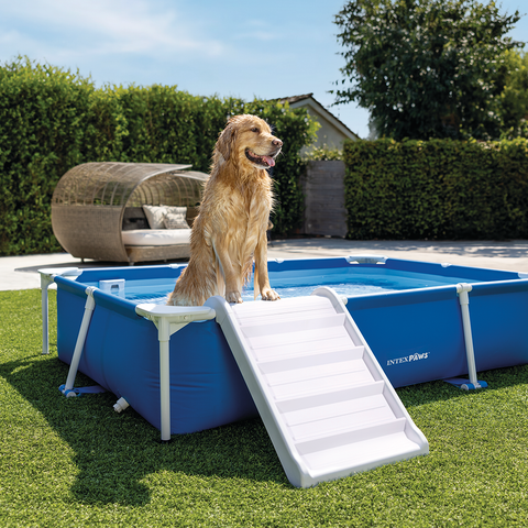 Intex Square Frame Pet Pool Set 229x152cm
