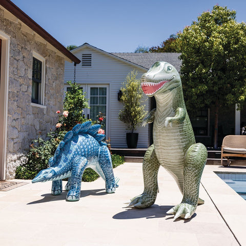 Intex Jurassic Dino Pals 1 Assorted