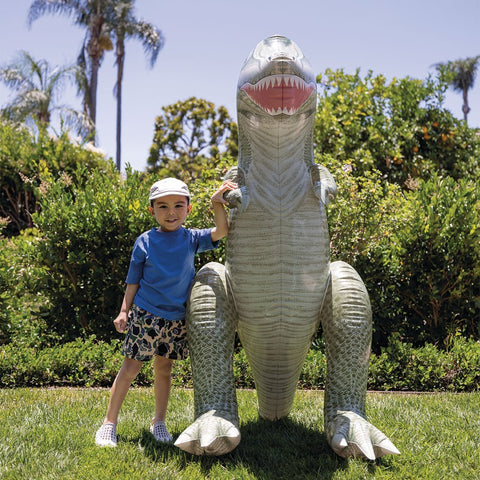 Intex Jurassic Dino Pals 1 Assorted