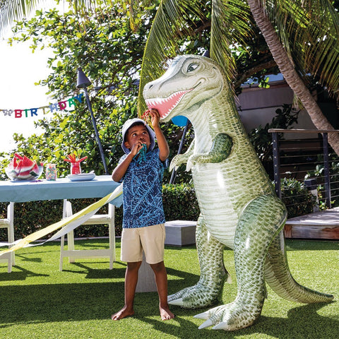Intex Jurassic Dino Pals 1 Assorted