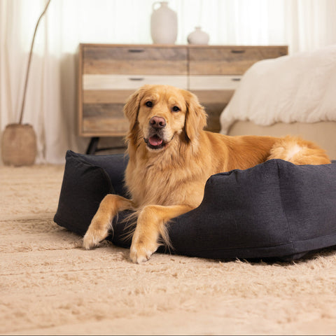 Inflatable Pet Bed With Hand Pump Medium 97x74x23cm