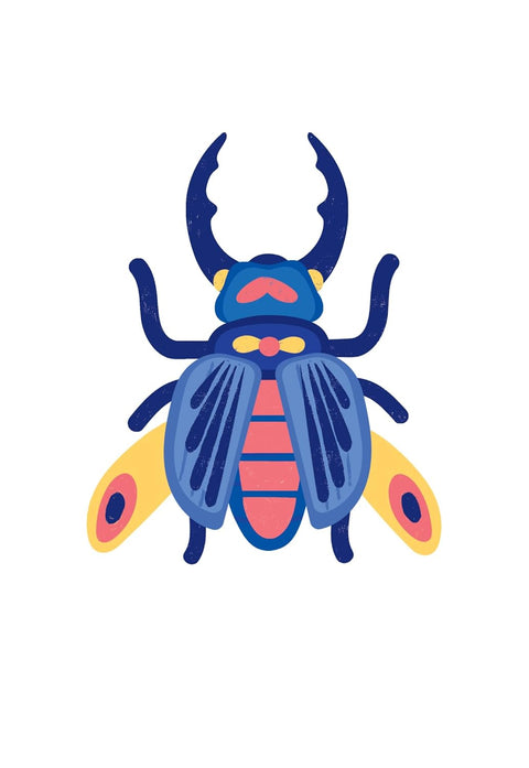 Omy Insects lover