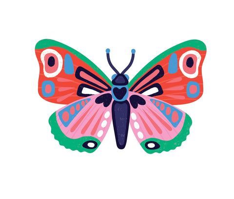 Omy Insects lover