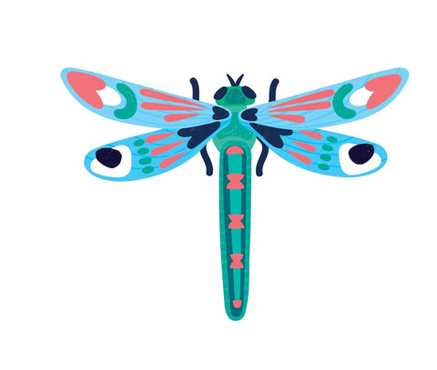 Omy Insects lover