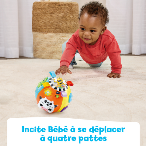 VTech Lumi Balle Des Animaux