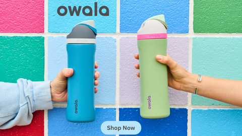Owala FreeSip Insulated Water Bottle 24oz Boneyard