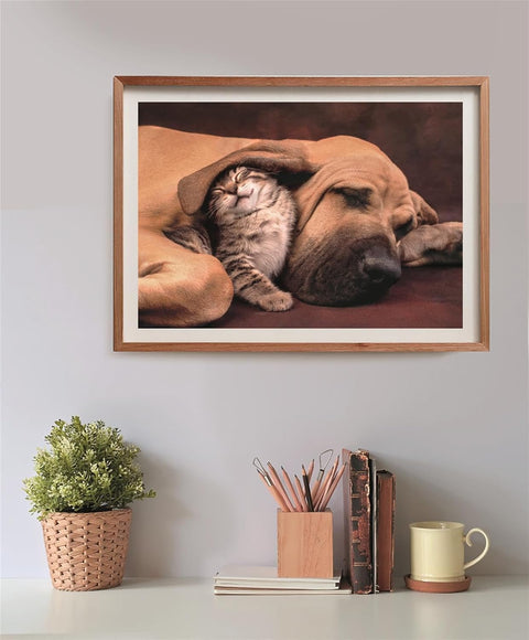 Clementoni HQC Cuddles Puzzle 500 Pieces