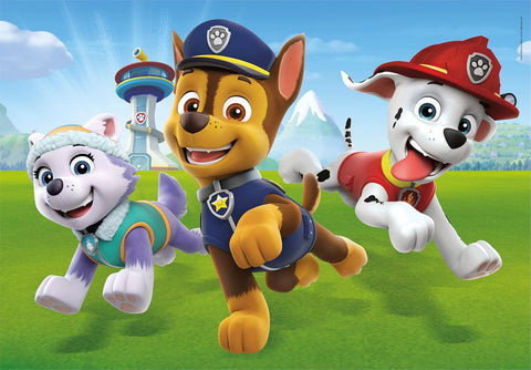 Clementoni SuperColor Paw Patrol Puzzle 2x20 Pieces