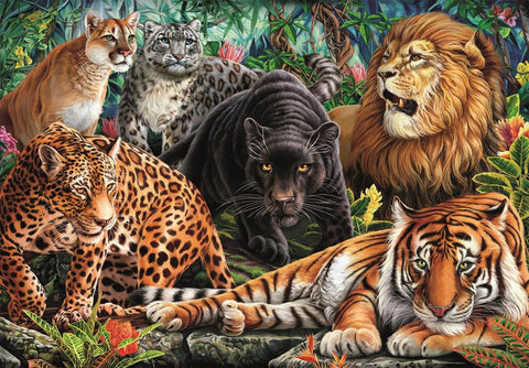 Clementoni HQC Wild Cats Puzzle 500 Pieces