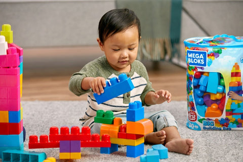 Mega Bloks First Big Building Bag Classic Blue, 80 Pieces