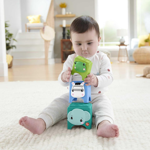 Fisher-Price Hello Hands Play Kit