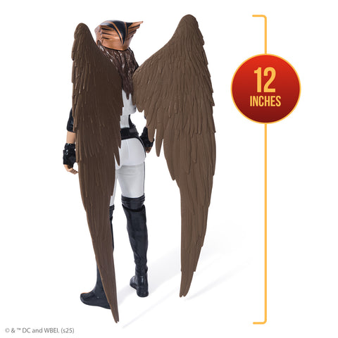 DC Comics Superman The Movie 2025 12-inch Hawkgirl Figure