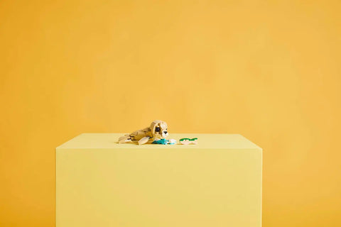 LEGO - Creator 3 In 1 Cute Bunny 31162 326 Pieces