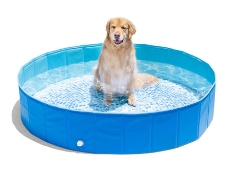 Intex Portable Foldable Pet Swimming Pool 152x30cm