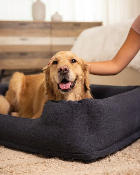 Inflatable Pet Bed With Hand Pump Medium 97x74x23cm