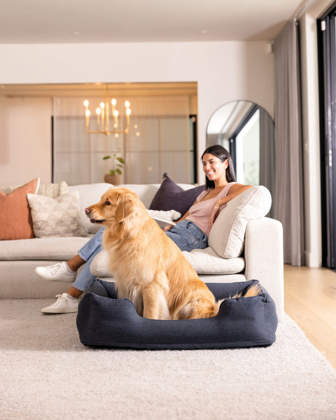 Inflatable Pet Bed With Hand Pump Medium 97x74x23cm