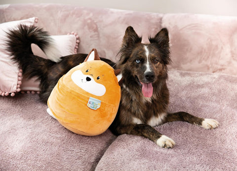 Nici Soft Toy Chill-NICI Fox 30cm