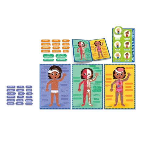 Clementoni Human Body Montessori