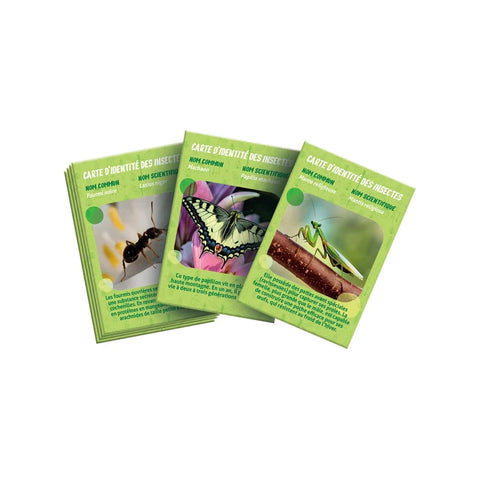 Clementoni Science & Jeu La Maison Des Insectes