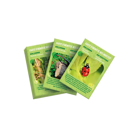 Clementoni Science & Jeu La Maison Des Insectes