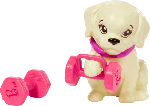 Barbie Self-Care Workout Outfit Roller Skates and Tennis with Puppy HKT91
