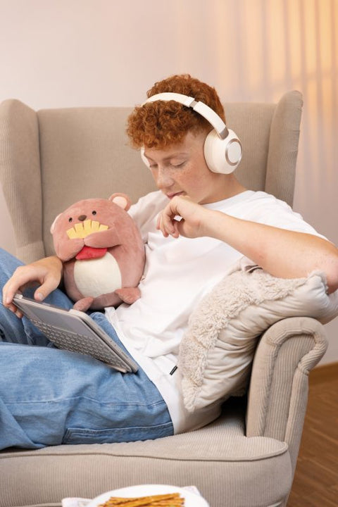 Nici Soft Toy Mymochi Bear Nomo 27cm With French Fries