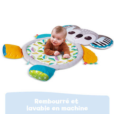 VTech Tapis D'éveil Koala Câlin