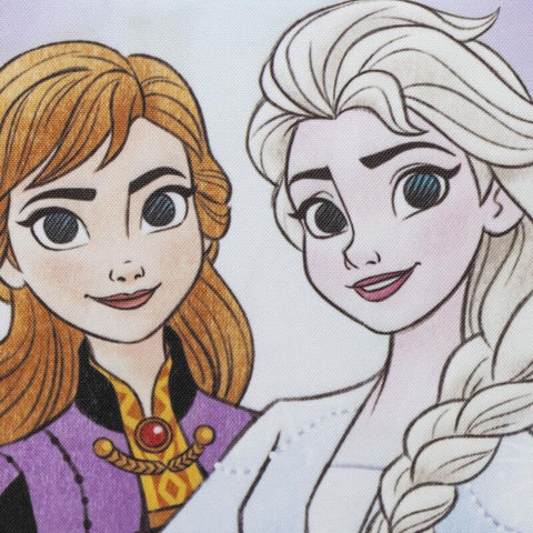 Disney Frozen Lunch Bag 21cm