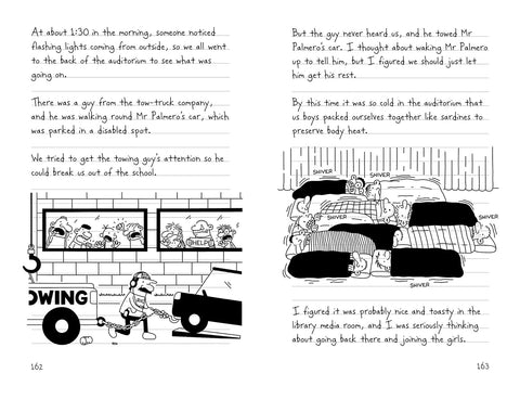 Diary Of A Wimpy Kid No.5 The Ugly Truth