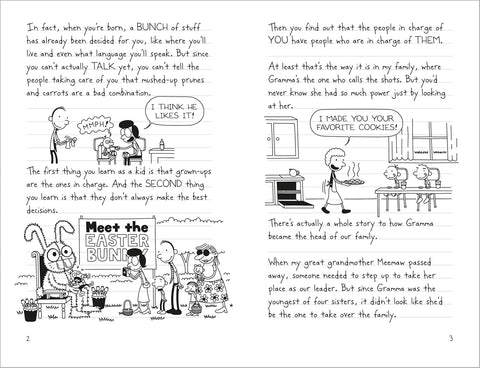 Diary Of A Wimpy Kid No.19 Hot Mess HC