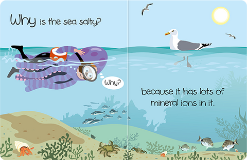 Big Questions From Little Learners,  Why Is The Sea So Salty?