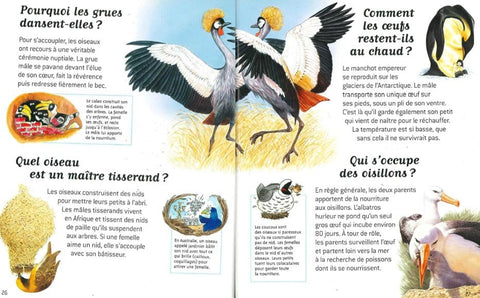 Questions Réponses No.20, La Vie Des Animaux