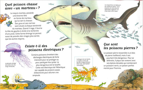 Questions Réponses No.6, Mers et Oceans