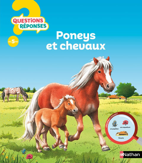 Questions Réponses No.11, Poneys Et Chevaux