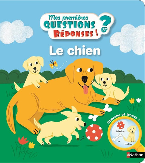 Questions Réponses No.7, Le Chien