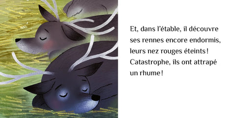 Calendrier de l'Avent, 24 histoires de Noël à accrocher dans le sapin