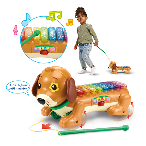 VTech Elton, Mon Rouli Xylophone