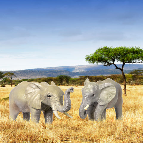 Terra African Elephant Family