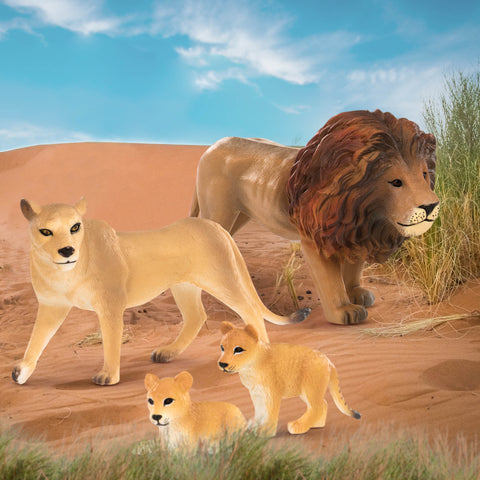 Terra Lion Family