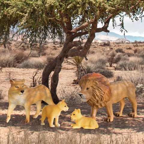 Terra Lion Family