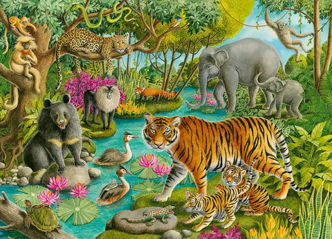 Animals of India, 60 Pieces