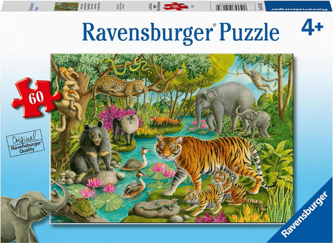 Animals of India, 60 Pieces