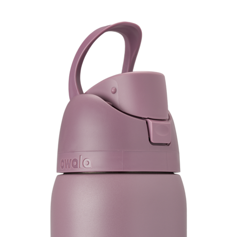 Owala FreeSip Insulated Water Bottle 32oz Spring Revival