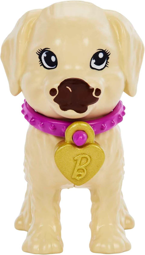 Barbie Doll And Accessories Pup Adoption Playset With Doll, 2 Puppies And Color-Change