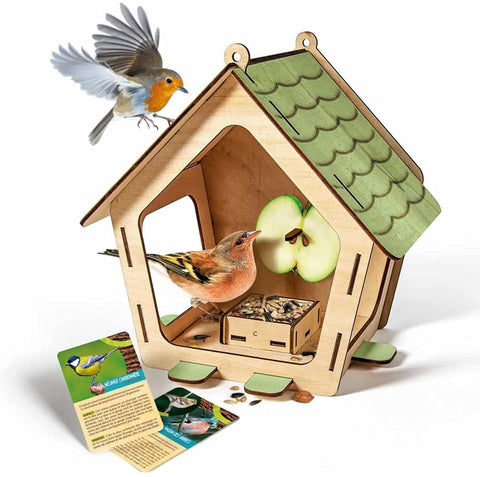 Build Bird Feeder, French Version