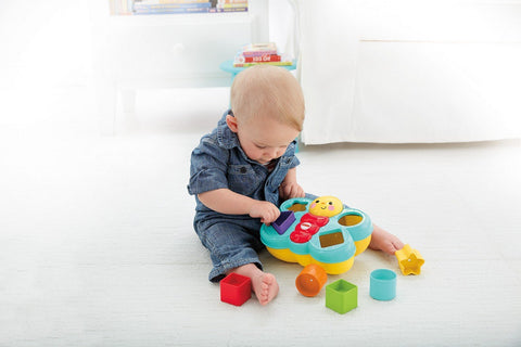 Butterfly Shape Sorter