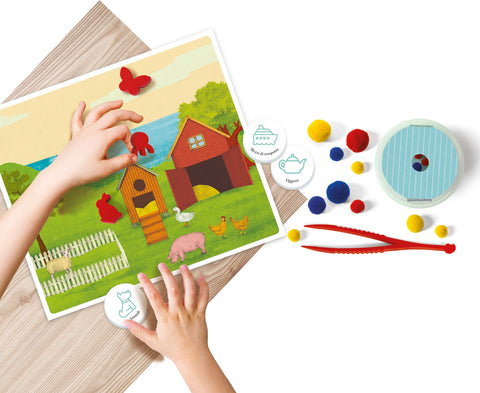 Classification Montessori