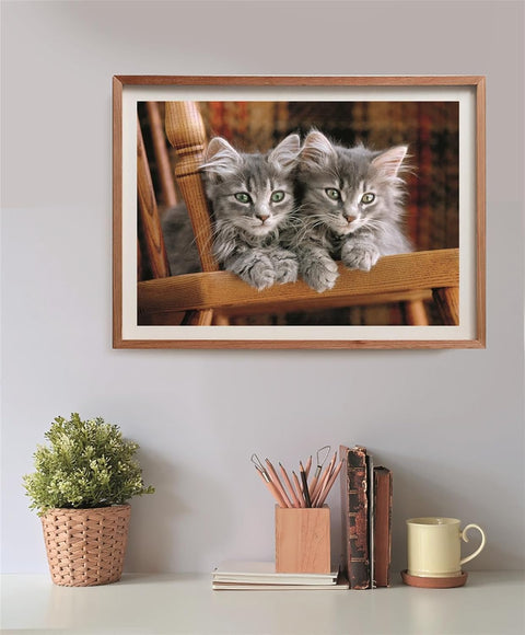Clementoni HQC Kittens Puzzle 500 Pieces